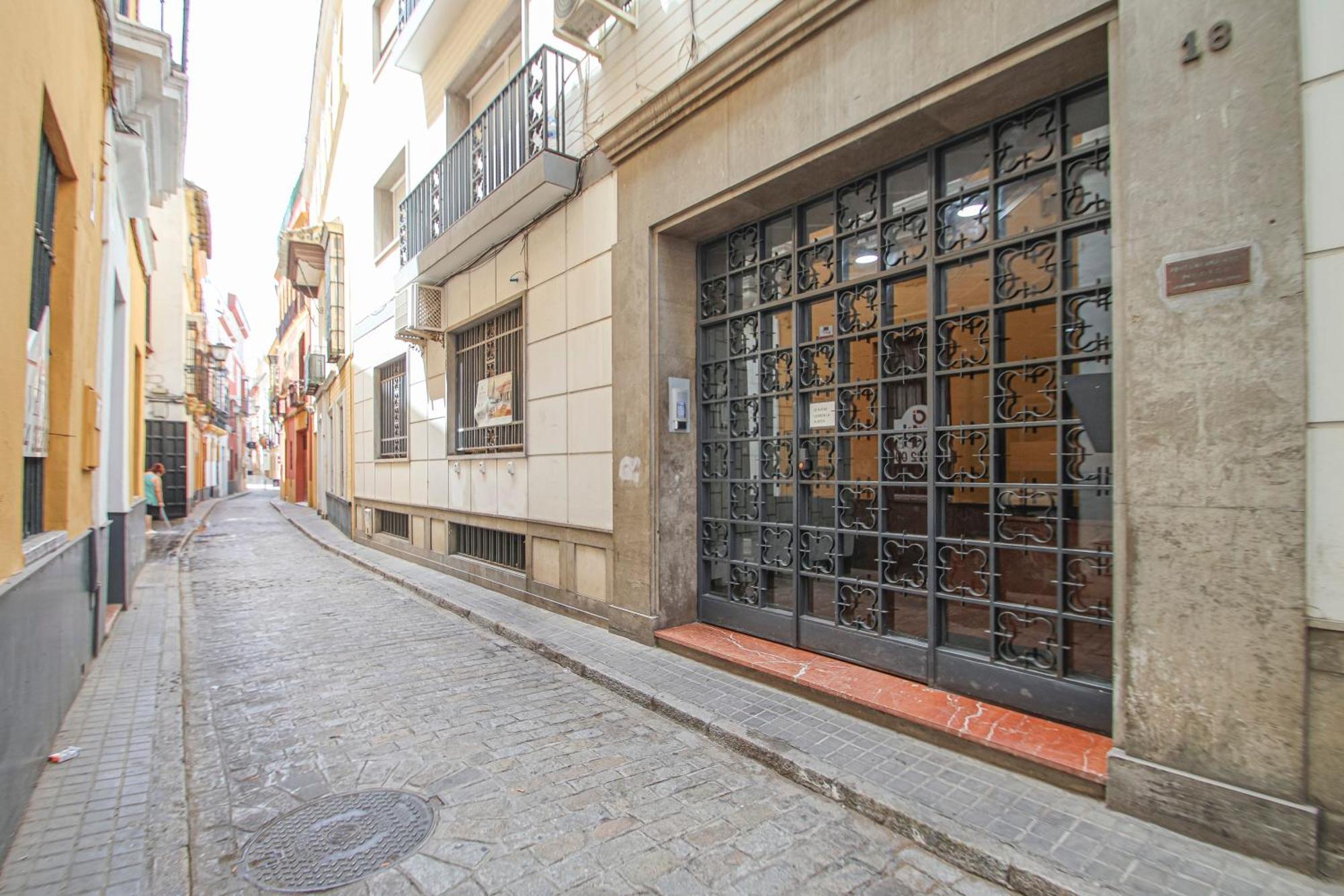 Luxurious & Spacious 4br Next To Cathedral